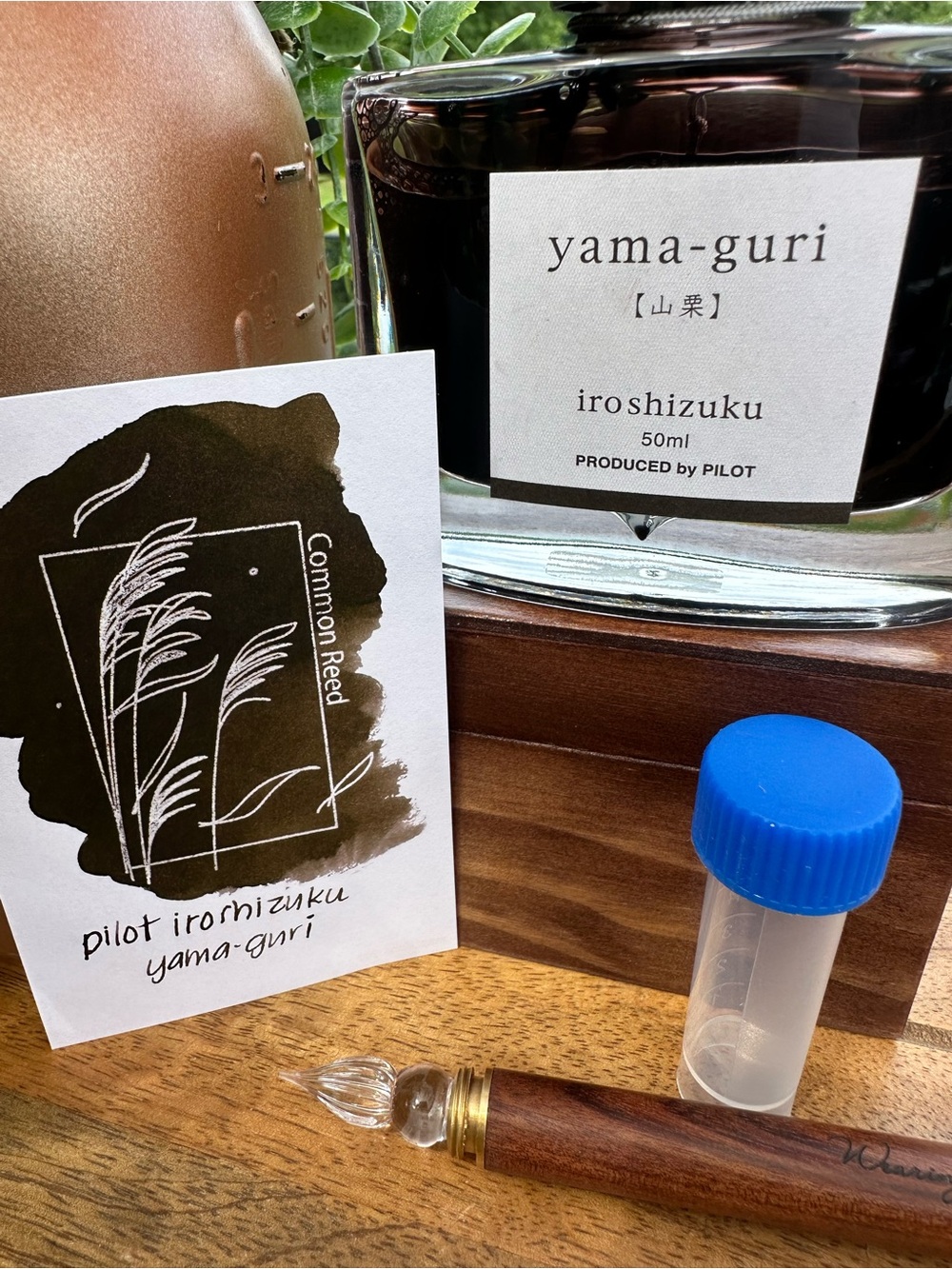 Pilot Iroshizuku Yama-guri Fountain Pen Ink - Deep Brown SAMPLE